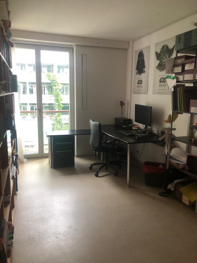 5½ ZI-WOHNUNG IN WINTERTHUR - STADT, MÖBLIERT, TEMPORÄR (3)