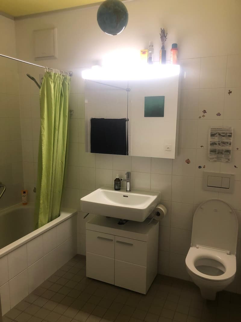 5½ ZI-WOHNUNG IN WINTERTHUR - STADT, MÖBLIERT, TEMPORÄR (7)