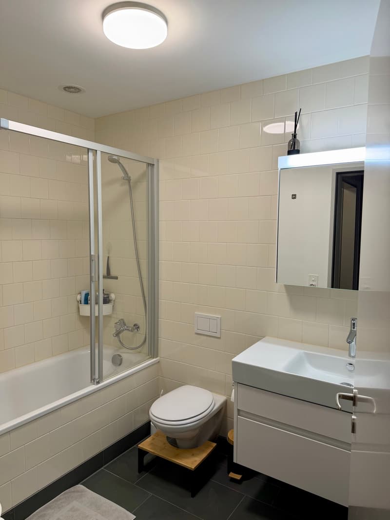 3½ ZI-WOHNUNG IN ZÜRICH - KREIS 12 HIRZENBACH, MÖBLIERT, TEMPORÄR (6)