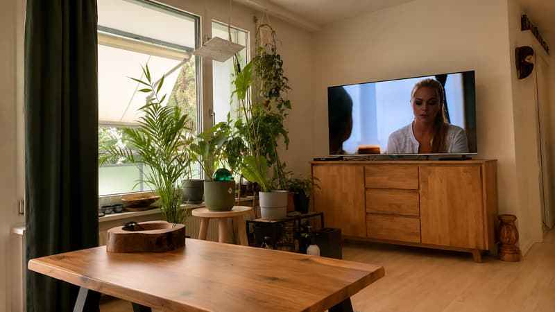 2½ ZI-WOHNUNG IN LUZERN, MÖBLIERT, TEMPORÄR (2)