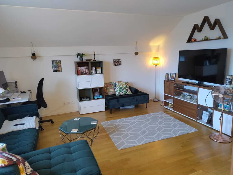 3 ZI-WOHNUNG IN BAAR (ZG), MÖBLIERT, TEMPORÄR (1)