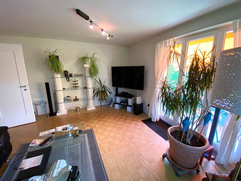 5 ZIMMER-HAUS IN WINTERTHUR - TÖSS, MÖBLIERT, TEMPORÄR (1)