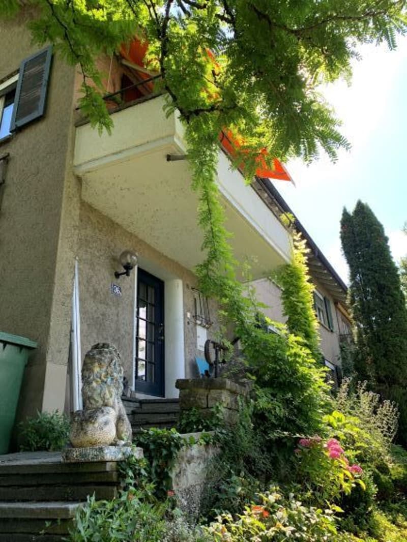 5 ZIMMER-HAUS IN WINTERTHUR - TÖSS, MÖBLIERT, TEMPORÄR (6)