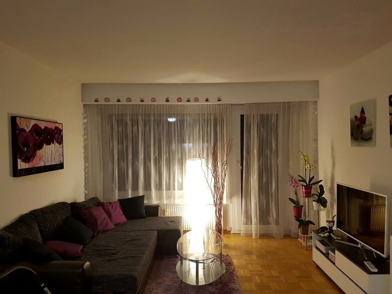 2.5-ZI-WHG NÄHE BIEL UND BERN IN STUDEN (BE), MÖBLIERT, TEMPORÄR (2)