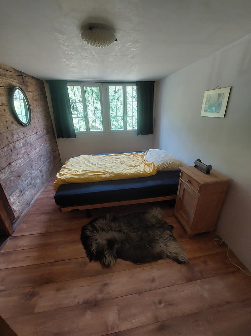 2½ ZI-WOHNUNG IN HASLIBERG HOHFLUH (BE), MÖBLIERT, TEMPORÄR (5)
