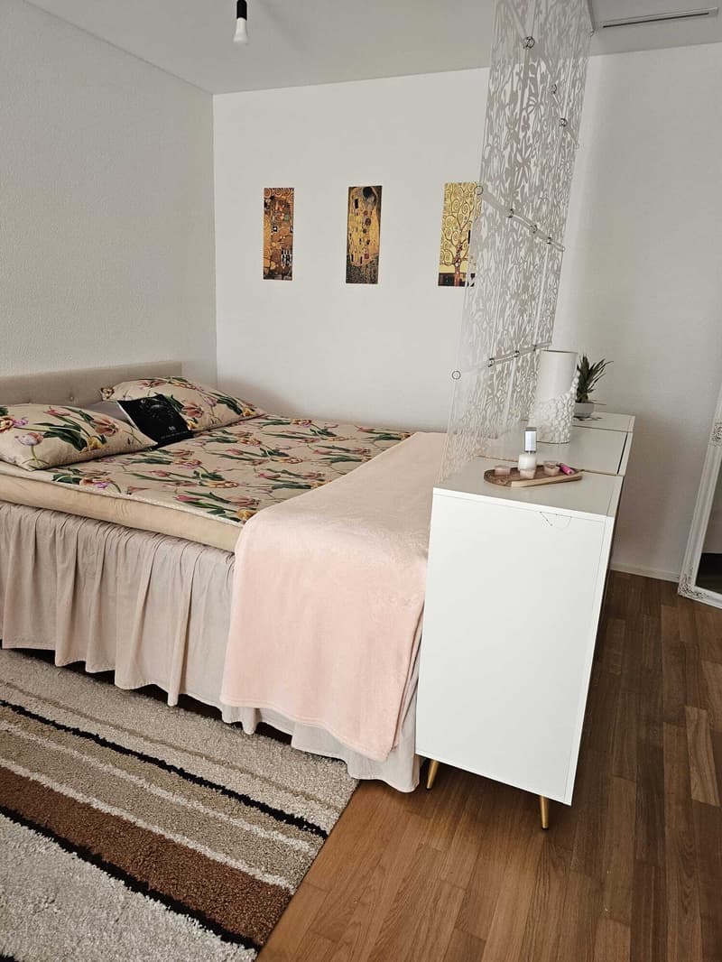 1 ZI-WOHNUNG IN USTER (ZH), MÖBLIERT, TEMPORÄR (5)