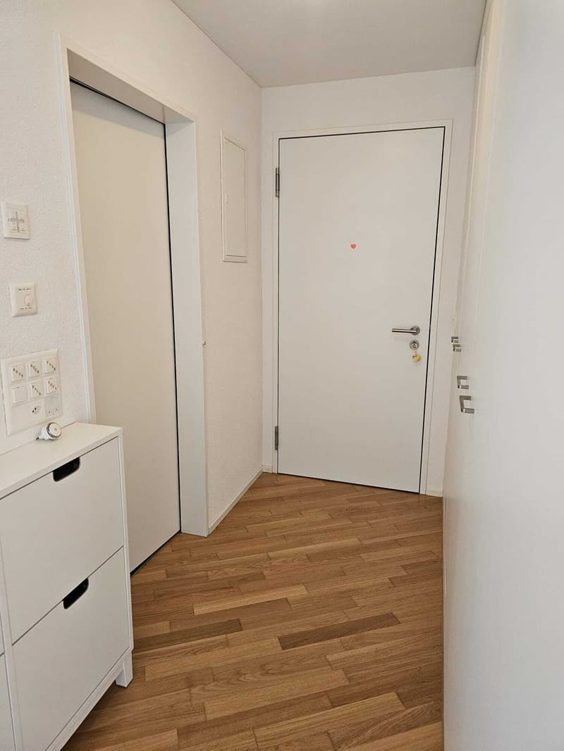1 ZI-WOHNUNG IN USTER (ZH), MÖBLIERT, TEMPORÄR (7)