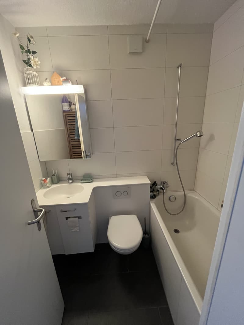 4½ ZI-WOHNUNG IN BERN - BÜMPLIZ, MÖBLIERT, TEMPORÄR (7)
