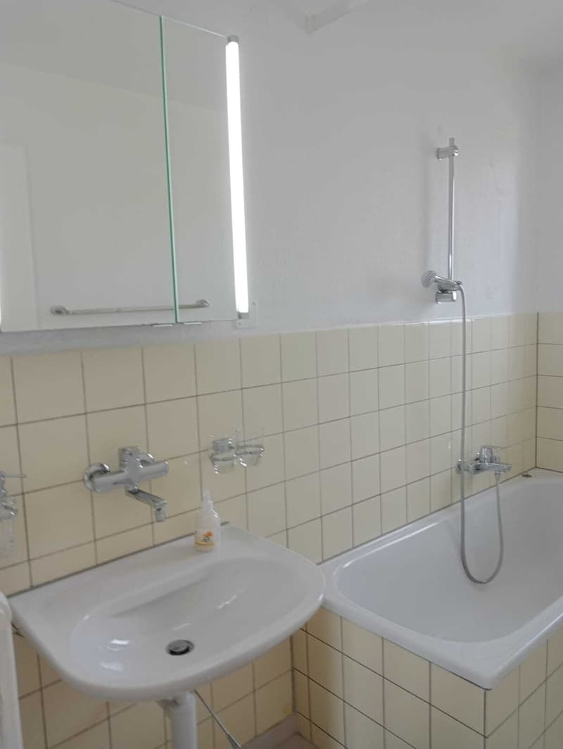 5½ ZI-WOHNUNG IN EGG B. ZÜRICH (ZH), MÖBLIERT (8)