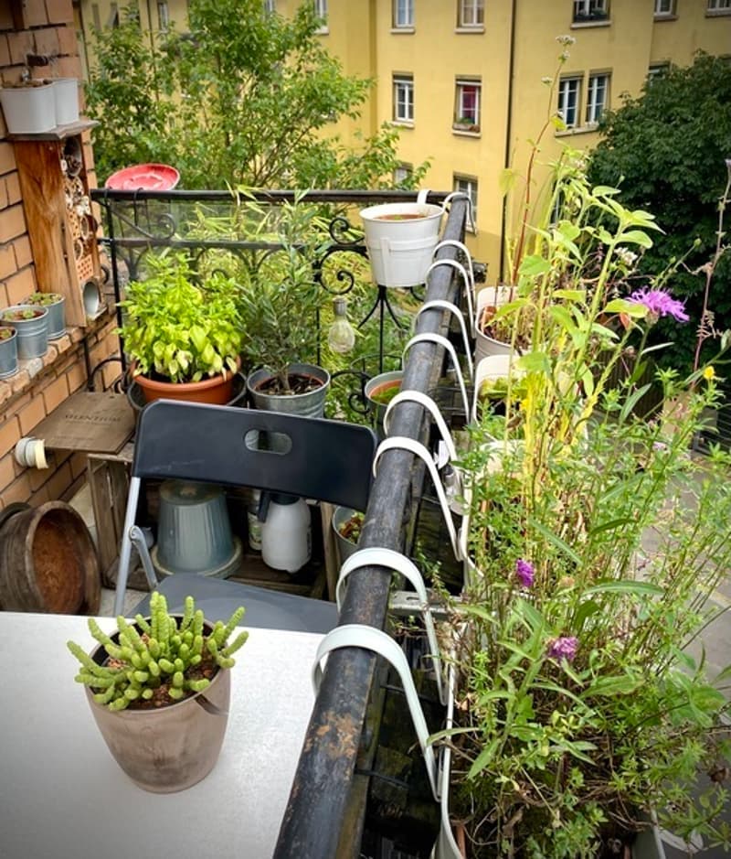 2½ ZI-WOHNUNG IN ZÜRICH - KREIS 5, MÖBLIERT, TEMPORÄR (10)