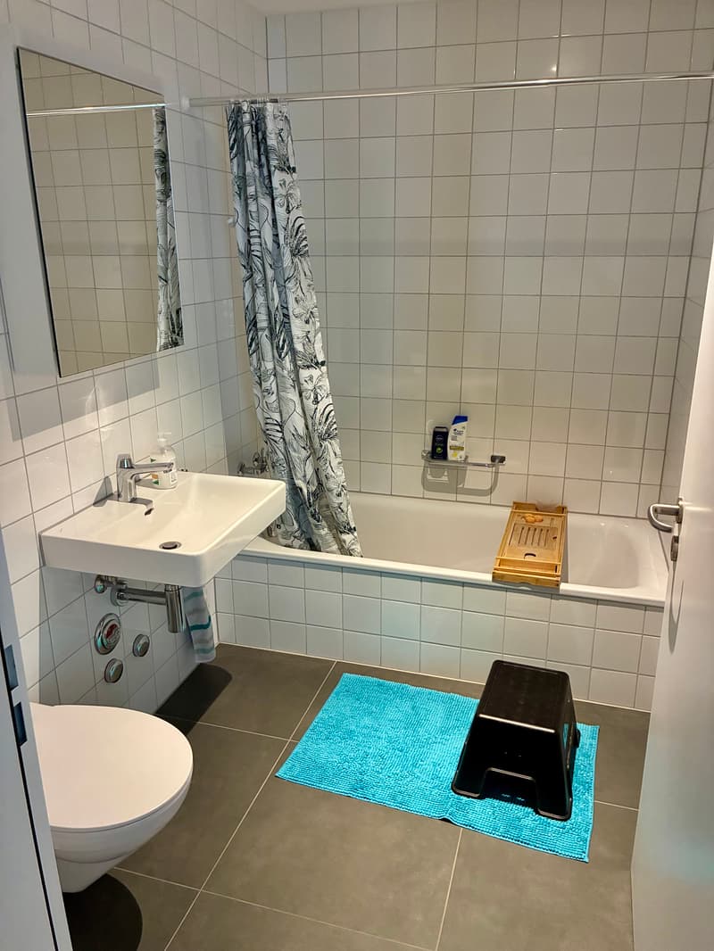 3½ ZI-WOHNUNG IN LUZERN, MÖBLIERT, TEMPORÄR (7)