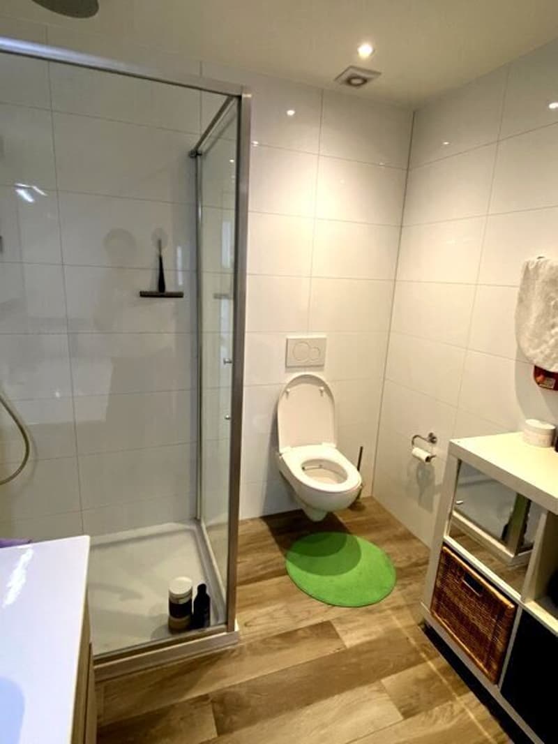 2½ ZI-WOHNUNG IN ZÜRICH - KREIS 6, MÖBLIERT, TEMPORÄR (9)