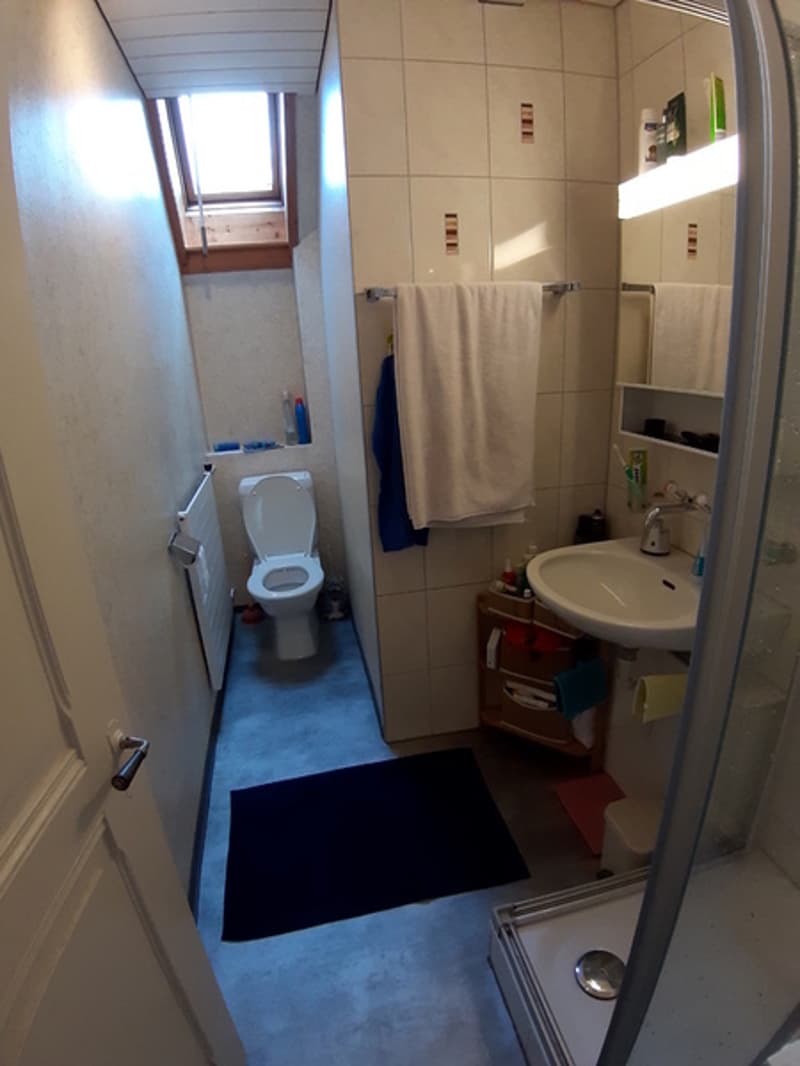 3 ZI-WOHNUNG IN BERN - BÜMPLIZ, MÖBLIERT, TEMPORÄR (6)