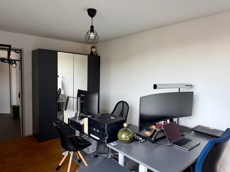 3½ ZI-WOHNUNG IN ZÜRICH - KREIS 12 HIRZENBACH, MÖBLIERT, TEMPORÄR (5)