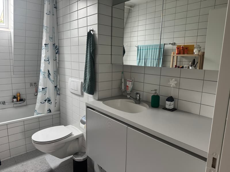 3 ZI-WOHNUNG IN NIDAU (BE), MÖBLIERT, TEMPORÄR (7)