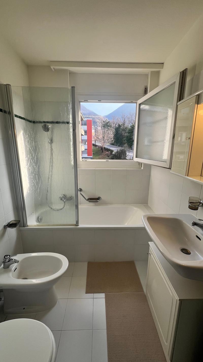 3½ ZI-WOHNUNG IN PREGASSONA (TI), MÖBLIERT (9)