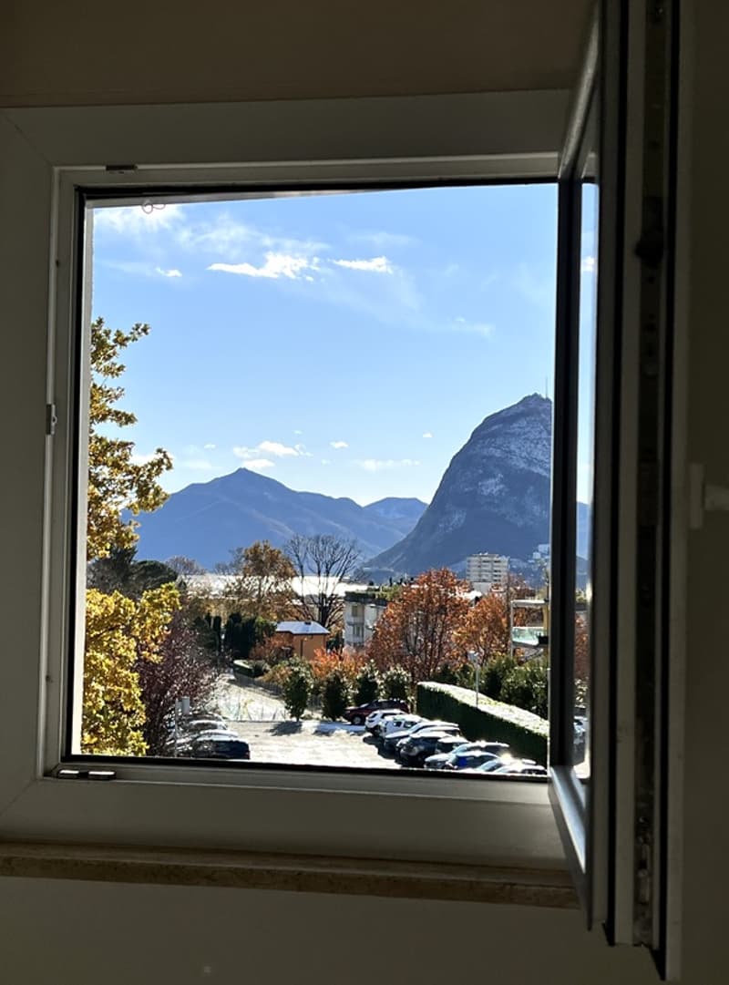 3½ ZI-WOHNUNG IN PREGASSONA (TI), MÖBLIERT (10)