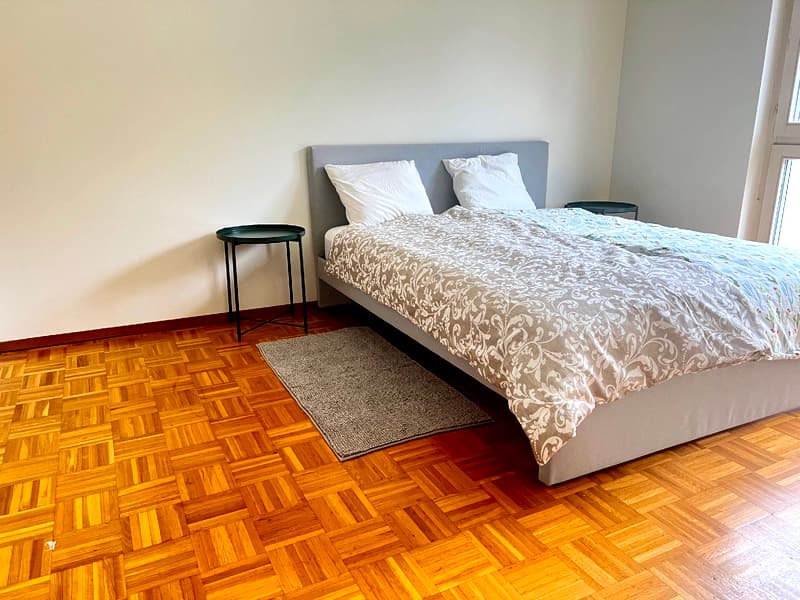 3½ ZI-WOHNUNG IN PREGASSONA (TI), MÖBLIERT (8)