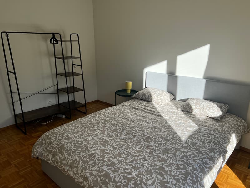 3½ ZI-WOHNUNG IN PREGASSONA (TI), MÖBLIERT (5)