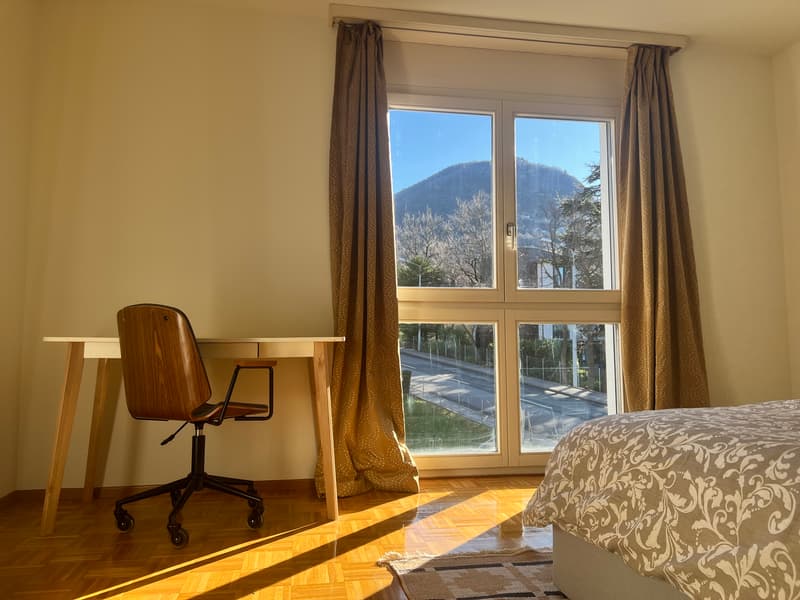 3½ ZI-WOHNUNG IN PREGASSONA (TI), MÖBLIERT (6)