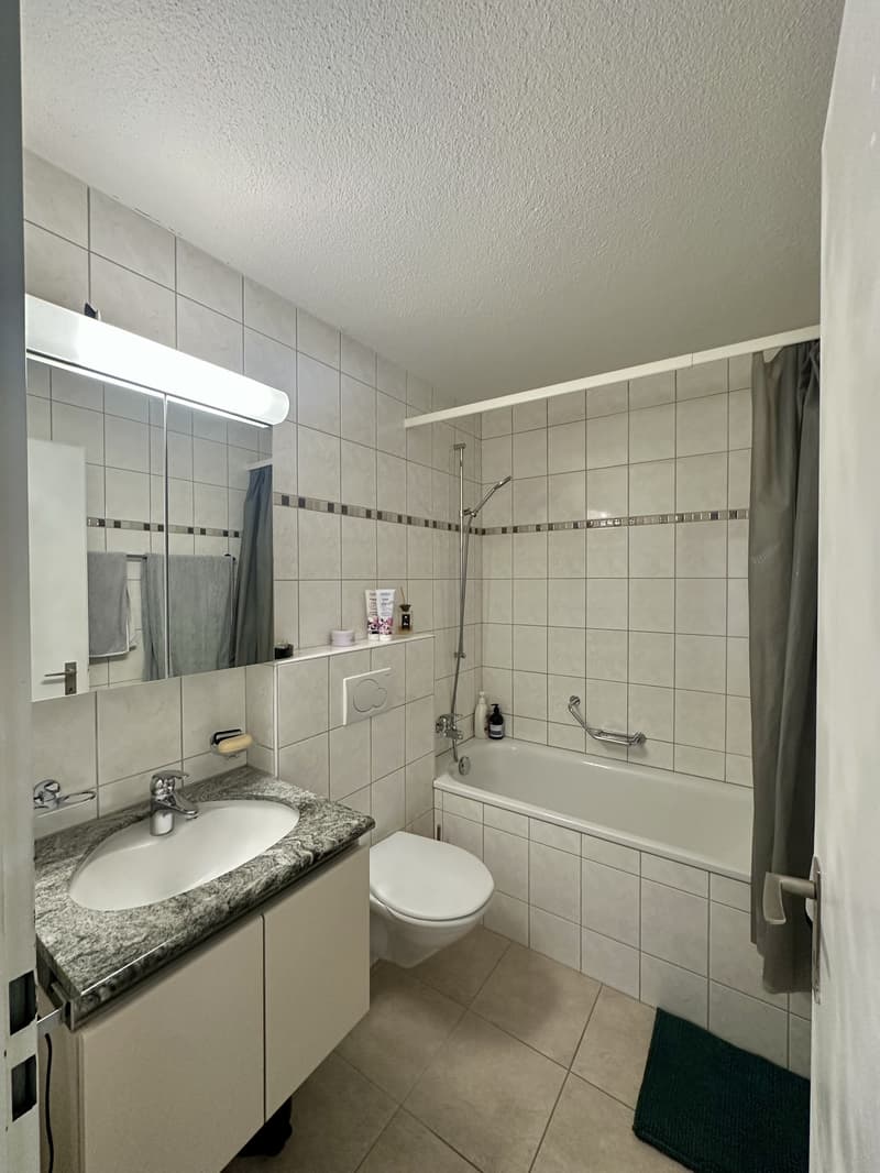 2½ ZI-WOHNUNG IN FÄLLANDEN (ZH), MÖBLIERT, TEMPORÄR (2)