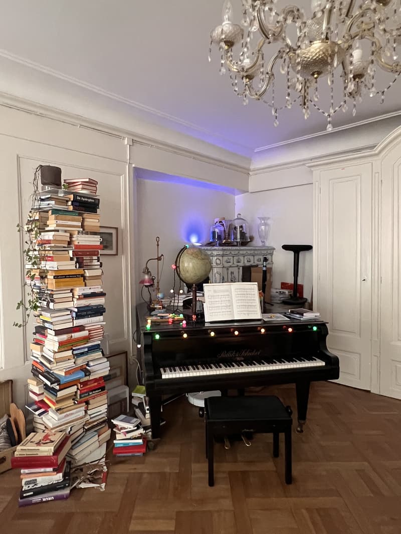2 ZI-WOHNUNG IN BERN - ALTSTADT, MÖBLIERT, TEMPORÄR (3)