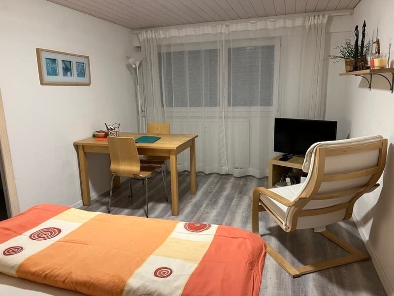STUDIO IN BOLLIGEN (BE), MÖBLIERT (2)