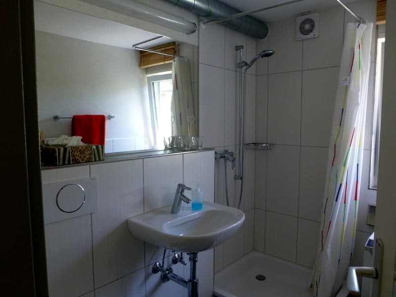 STUDIO IN BOLLIGEN (BE), MÖBLIERT (6)