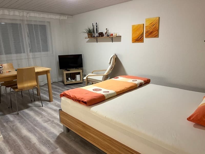 STUDIO IN BOLLIGEN (BE), MÖBLIERT (1)