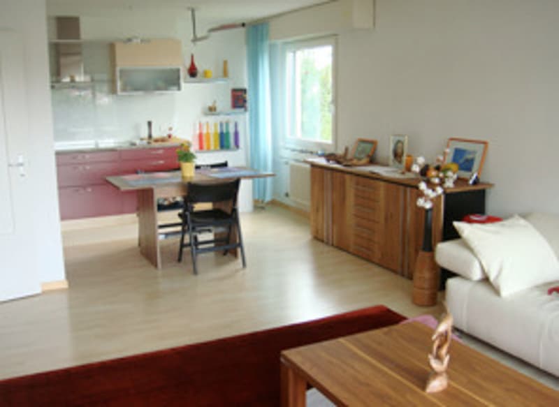 2½ ZI-WOHNUNG IN LUZERN, MÖBLIERT, TEMPORÄR (1)