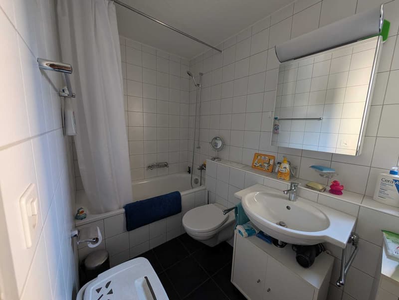 2½ ZI-WOHNUNG IN KREUZLINGEN (TG), MÖBLIERT, TEMPORÄR (4)