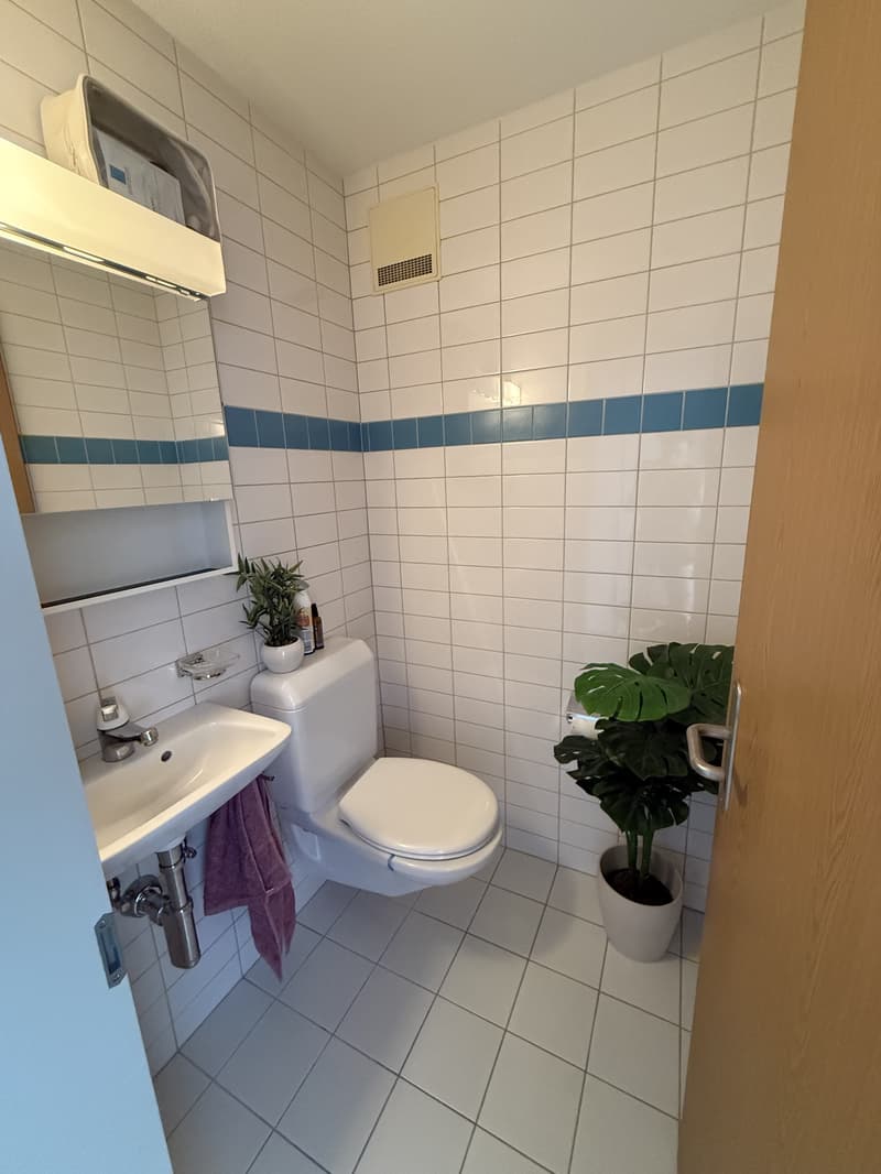 2½ ZI-WOHNUNG IN BERN - MONBIJOU, MÖBLIERT, TEMPORÄR (8)