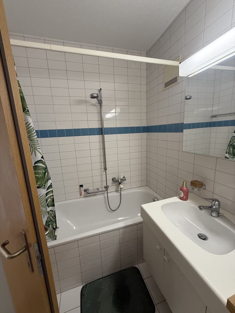 2½ ZI-WOHNUNG IN BERN - MONBIJOU, MÖBLIERT, TEMPORÄR (7)