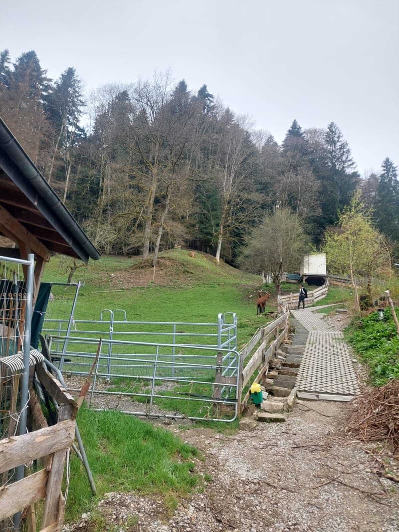 4½ ZIMMER-HAUS IN WATTWIL (SG), MÖBLIERT, TEMPORÄR (3)
