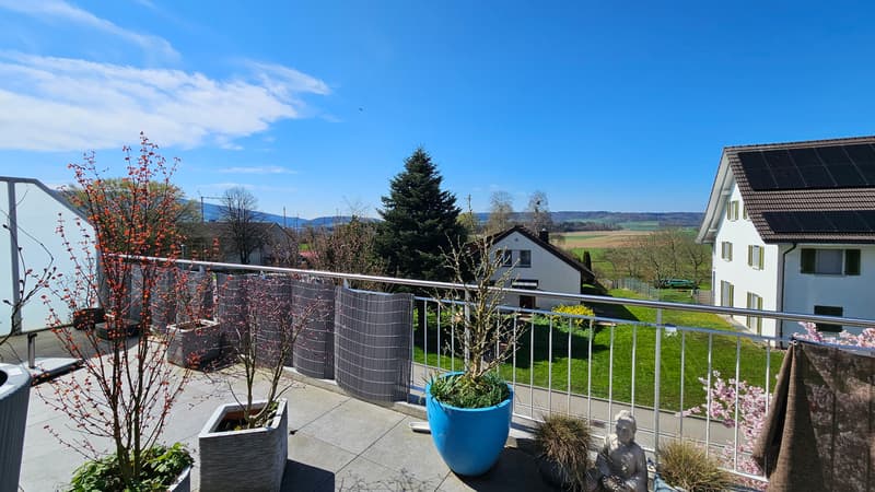 3½ ZI-WOHNUNG IN SCHNEISINGEN (AG), MÖBLIERT, TEMPORÄR (8)