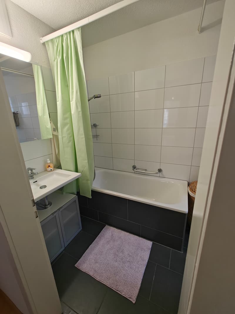 3½ ZI-WOHNUNG IN ZÜRICH - KREIS 4, MÖBLIERT, TEMPORÄR (8)