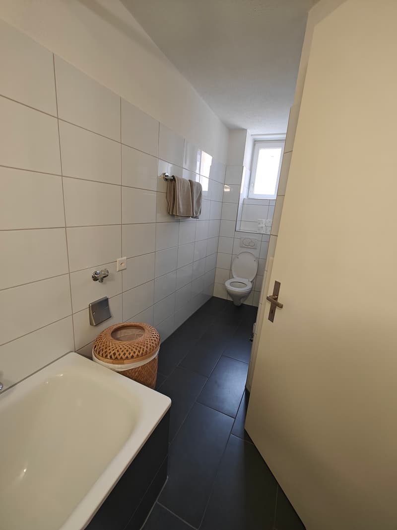 3½ ZI-WOHNUNG IN ZÜRICH - KREIS 4, MÖBLIERT, TEMPORÄR (9)