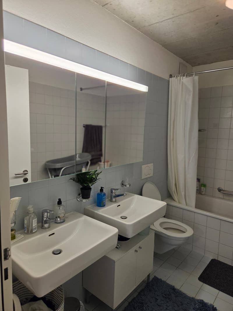 3½ ZI-WOHNUNG IN SCHLIEREN (ZH), MÖBLIERT, TEMPORÄR (11)