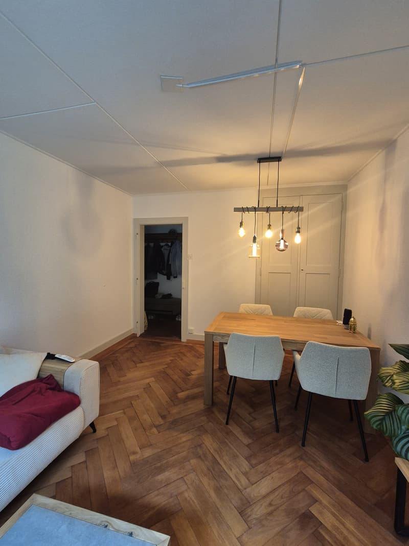 2 ZI-WOHNUNG IN BERN - WEISSENSTEIN, MÖBLIERT, TEMPORÄR (2)