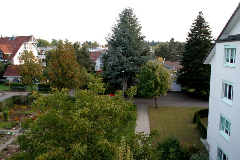 3½ ZI-WOHNUNG IN KLOTEN (ZH), MÖBLIERT, TEMPORÄR (8)