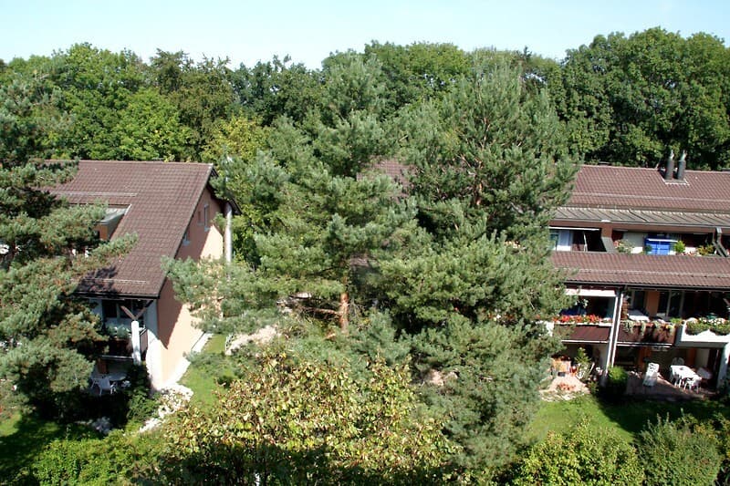 3½ ZI-WOHNUNG IN KLOTEN (ZH), MÖBLIERT, TEMPORÄR (10)