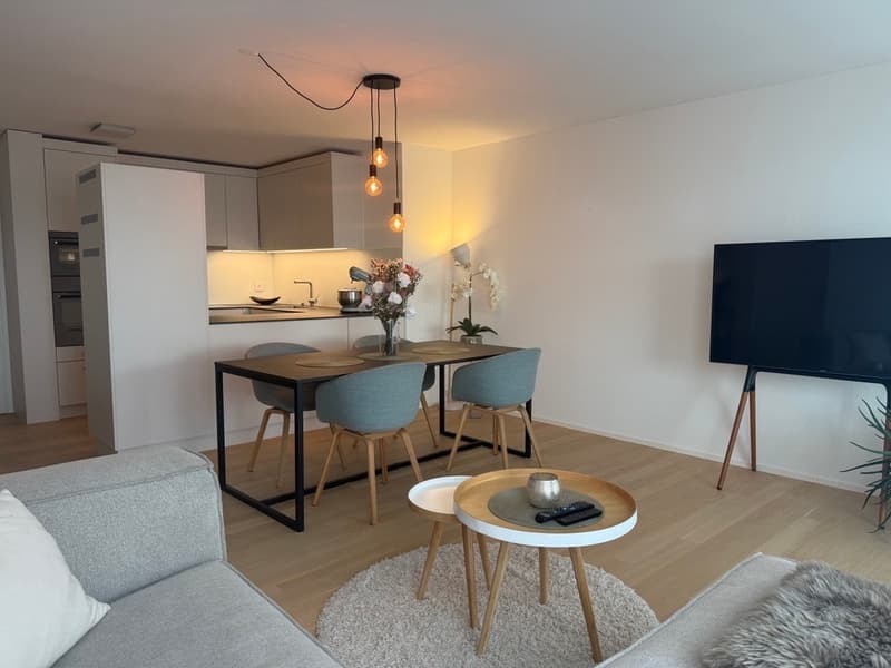 2½ ZI-WOHNUNG IN WETZIKON (ZH), MÖBLIERT, TEMPORÄR (2)