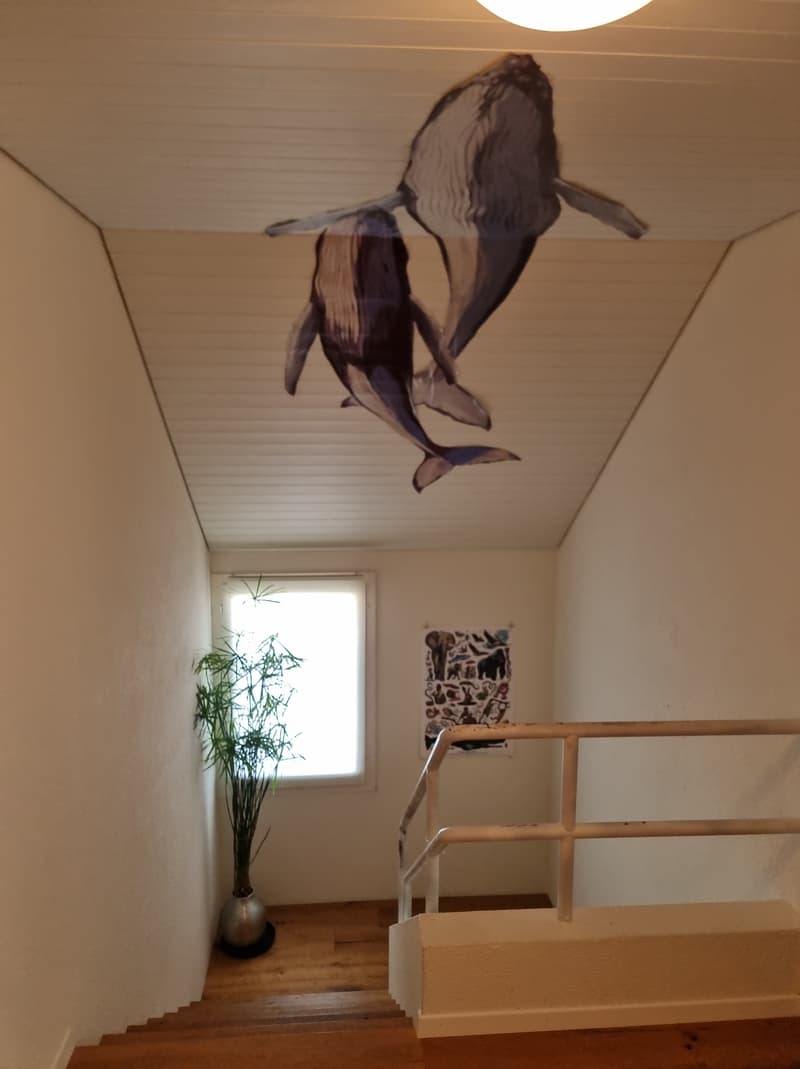 5½ ZIMMER-HAUS IN OBERNAU (LU), MÖBLIERT, TEMPORÄR (4)