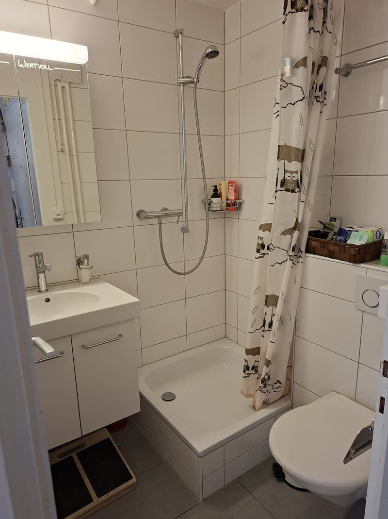 2 ZI-WOHNUNG IN THUN (BE), MÖBLIERT, TEMPORÄR (7)