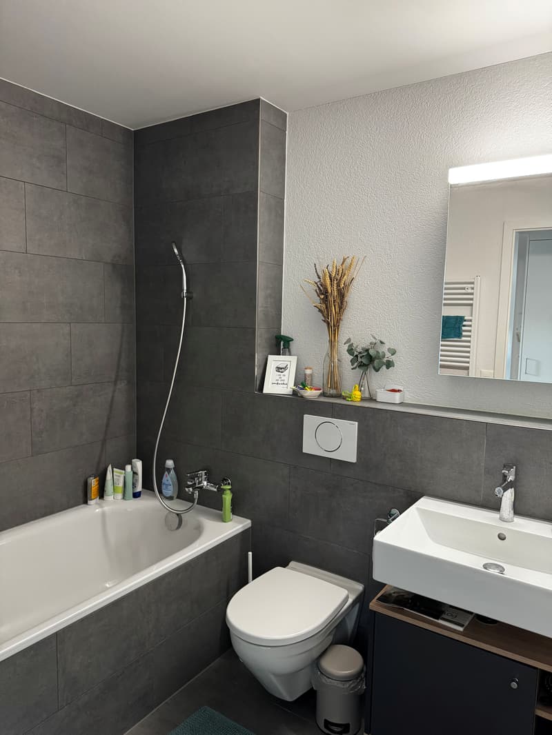 4½ ZI-WOHNUNG IN BERN, MÖBLIERT, TEMPORÄR (7)