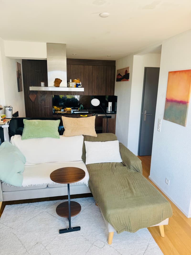 2½ ZIMMER-DACHWOHNUNG IN ZÜRICH - KREIS 10, MÖBLIERT, TEMPORÄR (6)