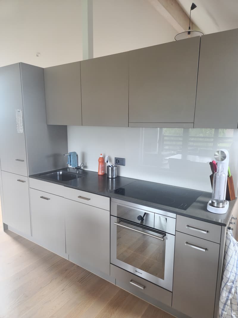 1½ ZI-WOHNUNG IN SEUZACH (ZH), MÖBLIERT, TEMPORÄR (4)