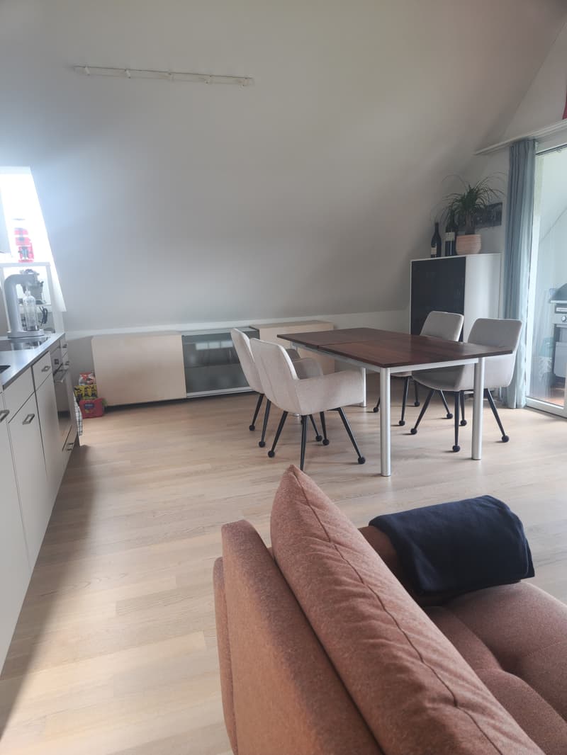 1½ ZI-WOHNUNG IN SEUZACH (ZH), MÖBLIERT, TEMPORÄR (2)