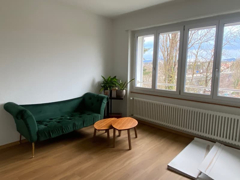 4 ZI-WOHNUNG IN BERN - SULGENAU, MÖBLIERT, TEMPORÄR (9)