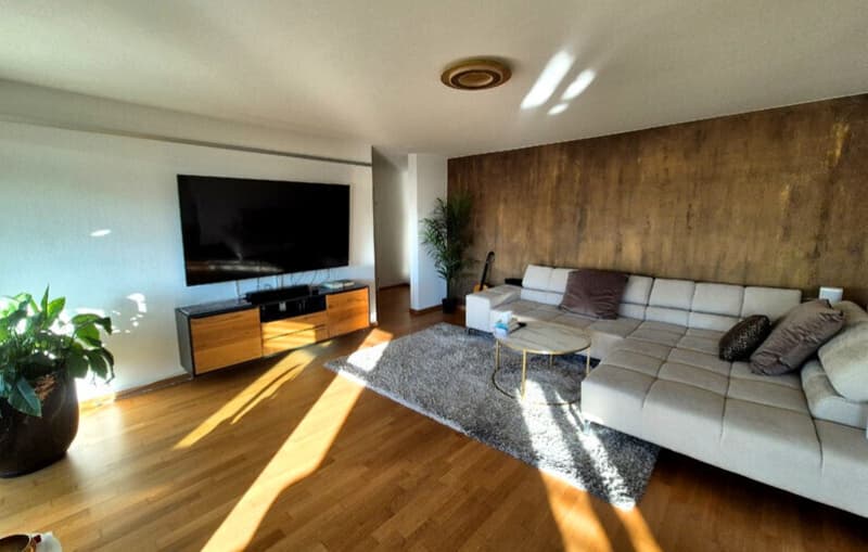 2½ ZI-WOHNUNG IN ZÜRICH - KREIS 9 ALTSTETTEN, MÖBLIERT, TEMPORÄR (1)